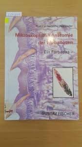 Mikroskopische Anatomie der Wirbellosen: Ein Farbatlas Natural Sciences