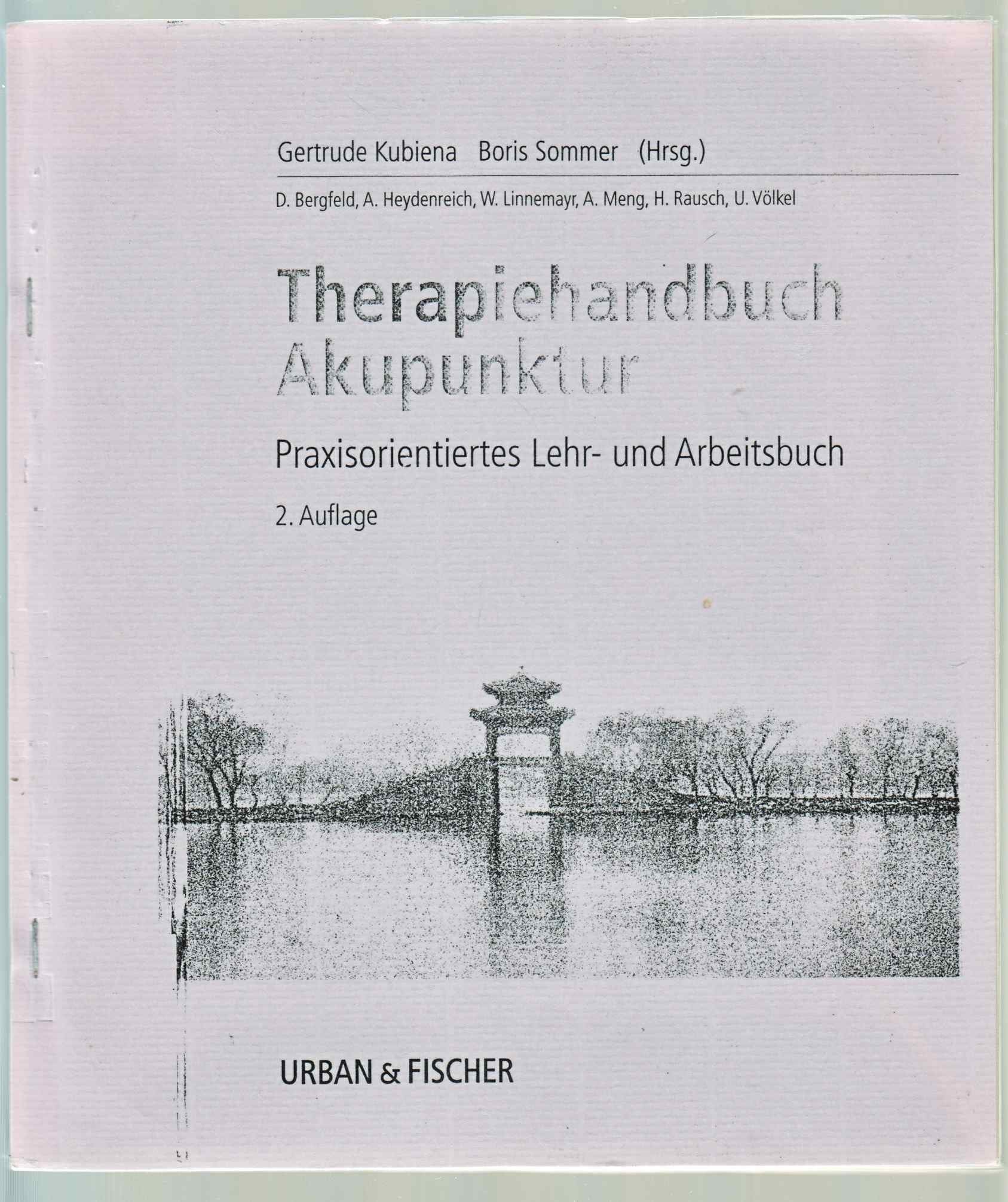 Therapiehandbuch Akupunktur. Praxisorientiertes Lehr- und Arbeitsbuch Health, Nutrition & Fitness