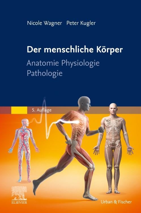 Product Image: Der menschliche Körper