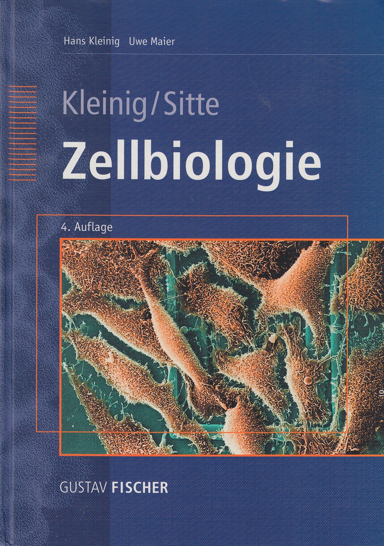 Zellbiologie: Begründet von Hans Kleinig und Peter Sitte Natural Sciences