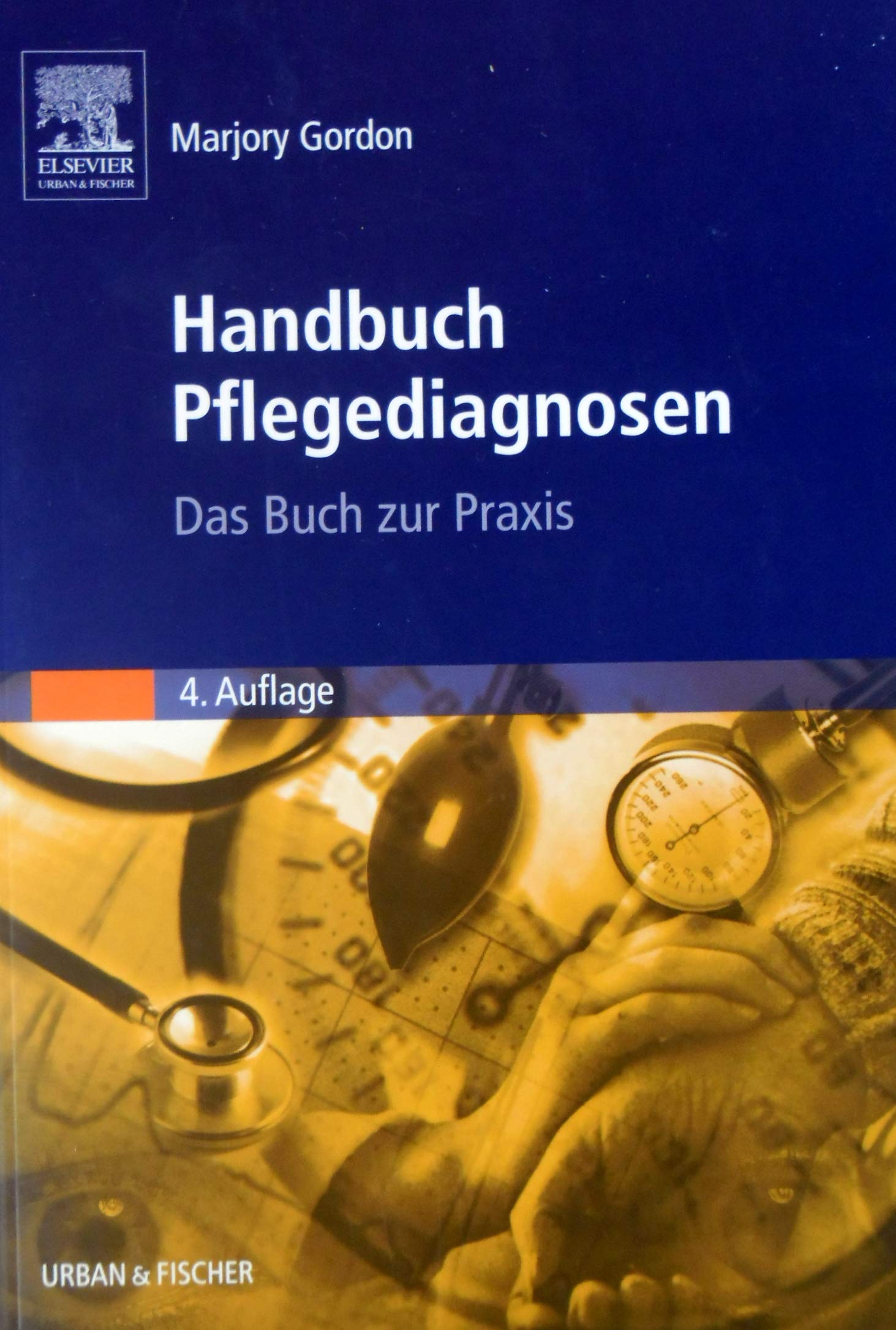 Handbuch Pflegediagnosen: Das Buch zur Praxis Medicine