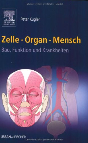 Zelle Organ Mensch: Bau, Funktion und Krankheiten Medicine