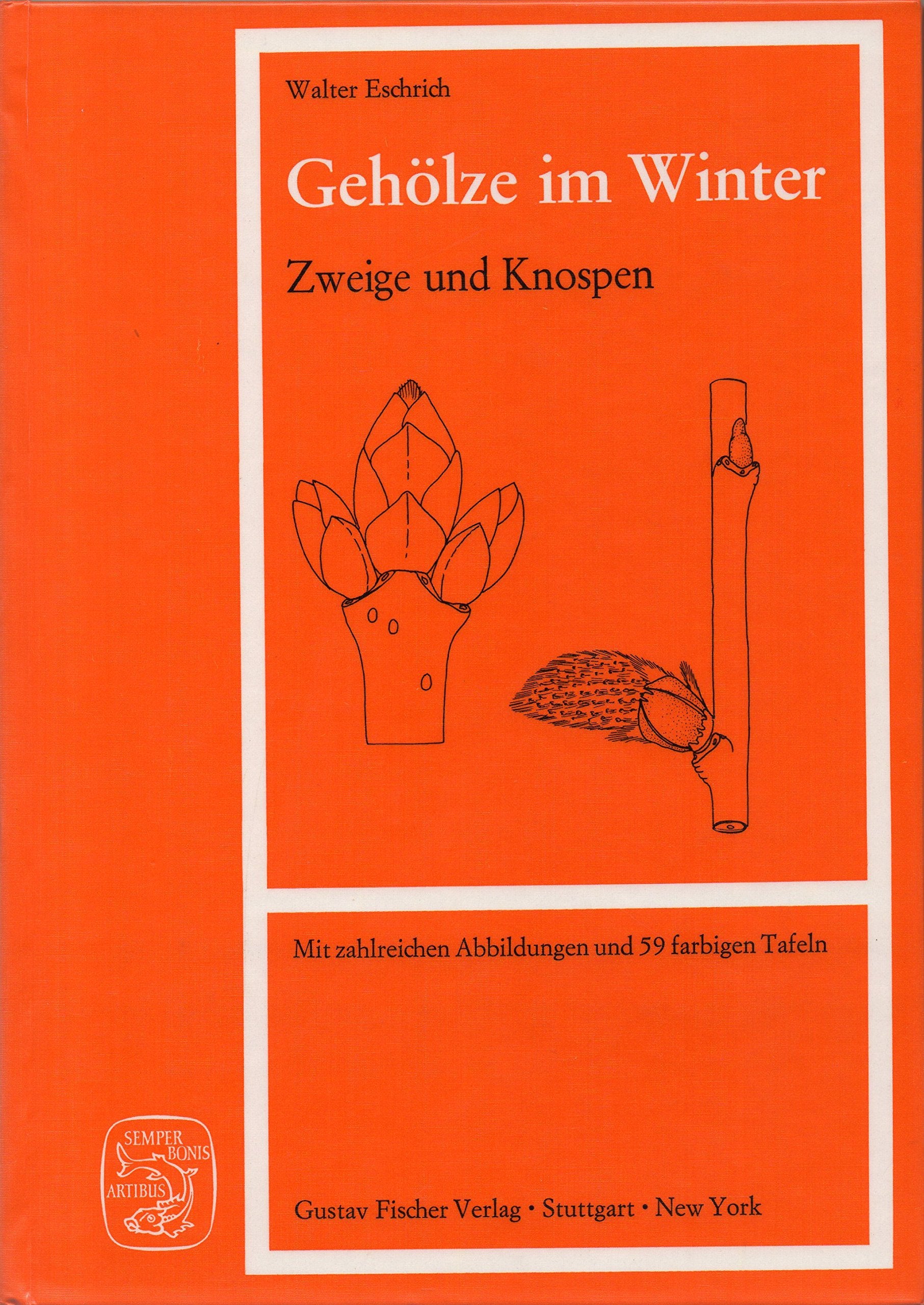 Gehölze im Winter, Zweige und Knospen Natural Sciences