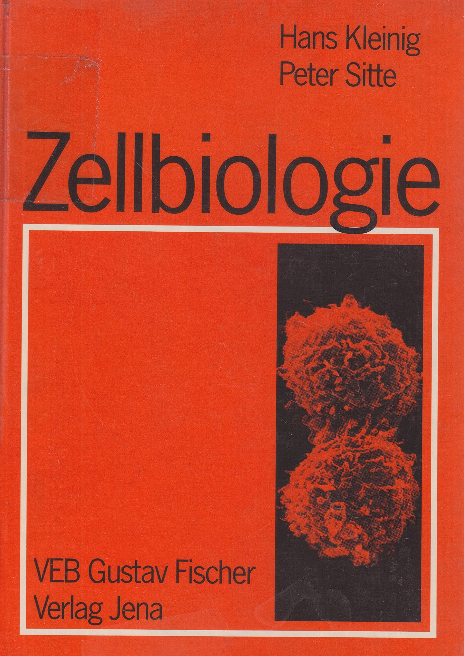 Zellbiologie: ein Lehrbuch Law