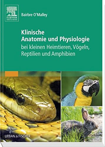 Klinische Anatomie und Physiologie bei kleinen Heimtieren, Vögeln, Reptilien und Amphibien Medicine