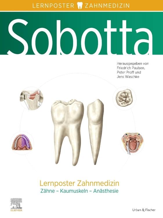 Sobotta Lernposter Zahnmedizin Medicine