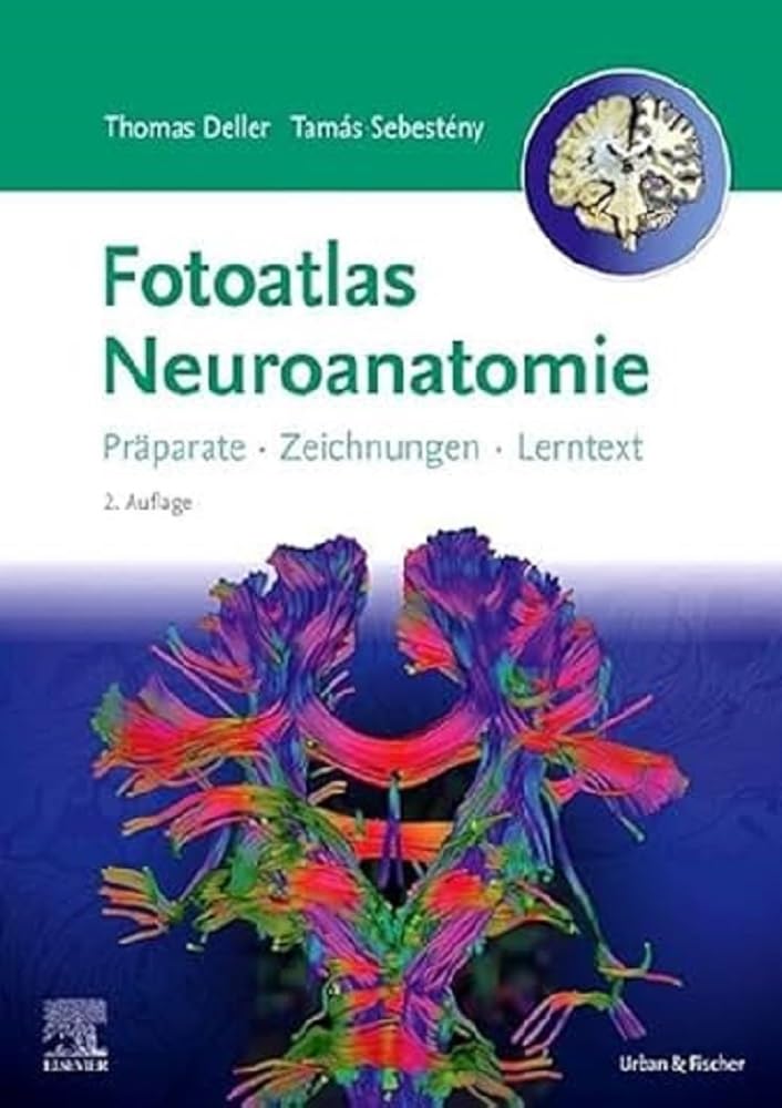 Fotoatlas Neuroanatomie Medicine