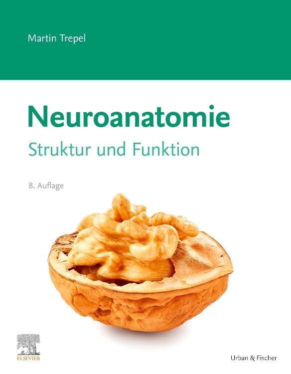 Neuroanatomie Medicine