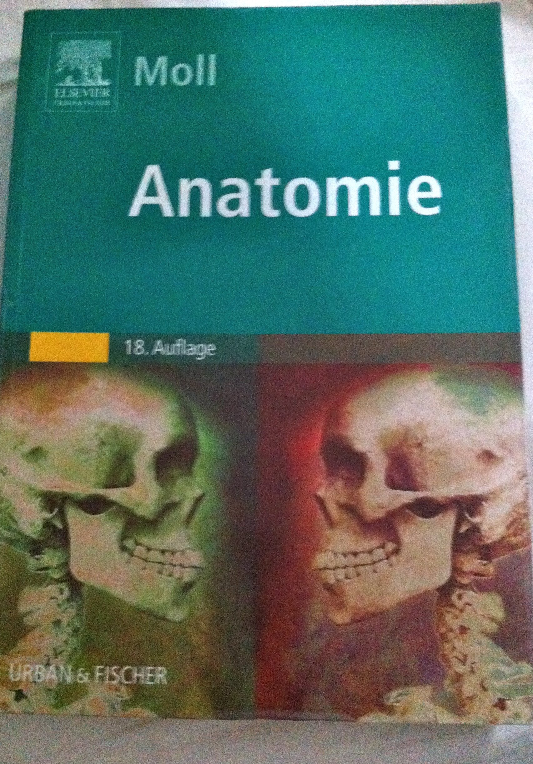 Anatomie Medicine