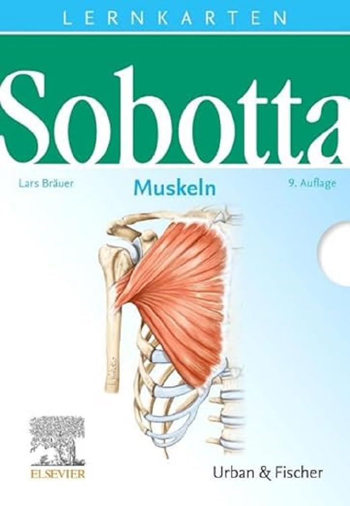 Sobotta Lernkarten Muskeln: Muskeln Medicine