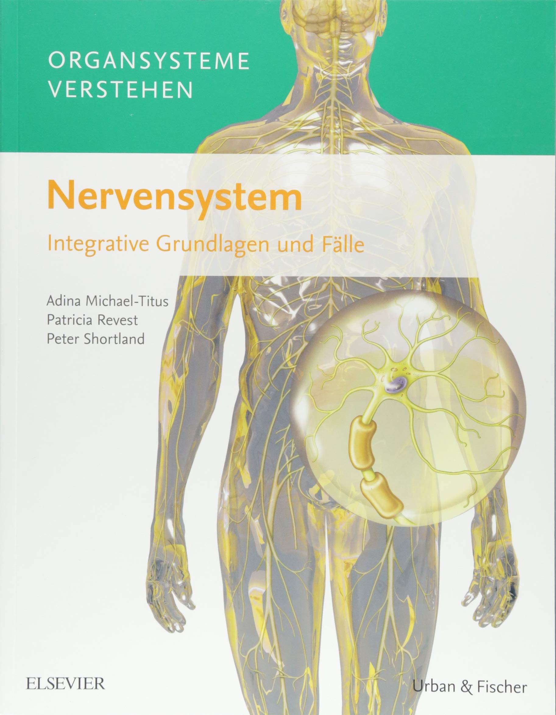 Organsysteme verstehen: Nervensystem: Integrative Grundlagen und Fälle Medicine