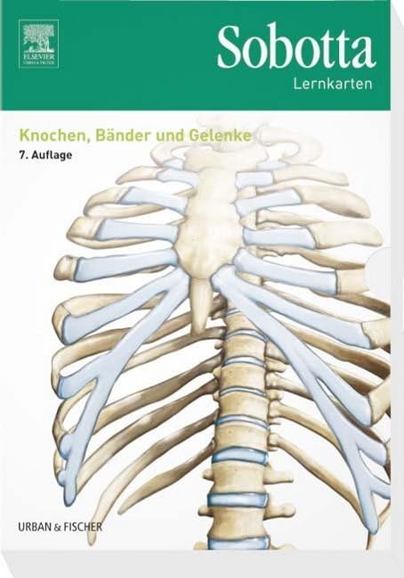 Sobotta Lernkarten Knochen, Bänder und Gelenke Medicine