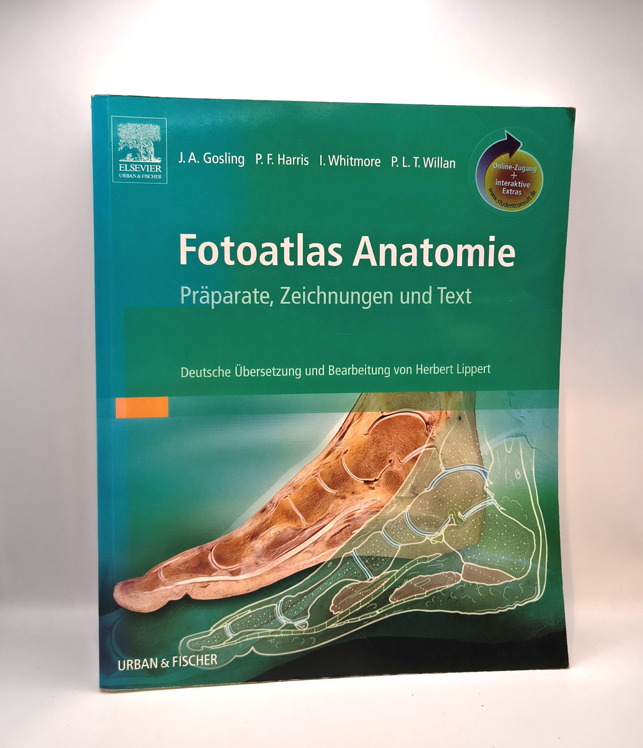 Fotoatlas der Anatomie: Präparate, Zeichnungen und Text Medicine