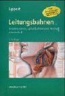 Leitungsbahnen: Arterien, Venen, Lymphbahnen und Nerven schematisch Medicine