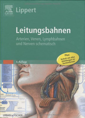 Leitungsbahnen: Arterien, Venen, Lymphbahnen und Nerven schematisch: Arterien, Venen, Lymphbahnen und Nerven schematisch. Posterformat: 70 x 50 cm Medicine