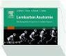 Product Image: Lernkarten Anatomie