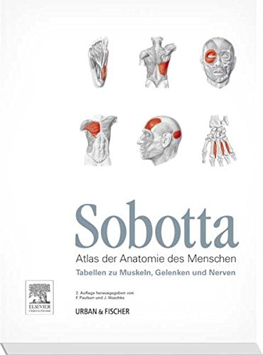 Sobotta Tabellen Medicine Books