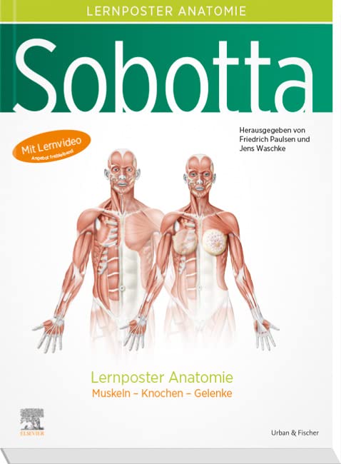 Sobotta Lernposter Anatomie: Muskeln - Knochen - Gelenke Medicine