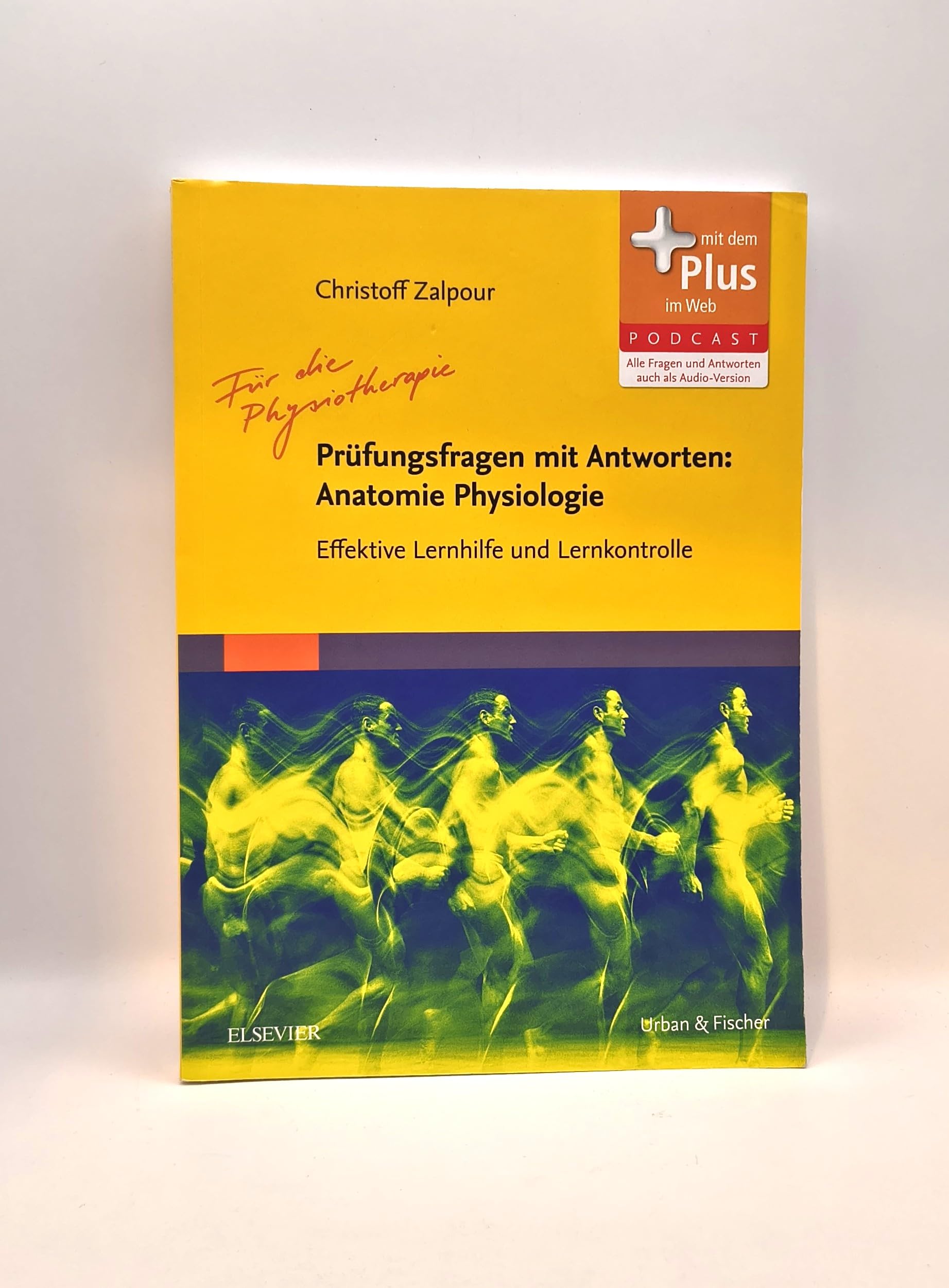 Für die Physiotherapie - Prüfungsfragen mit Antworten: Anatomie Physiologie Medicine