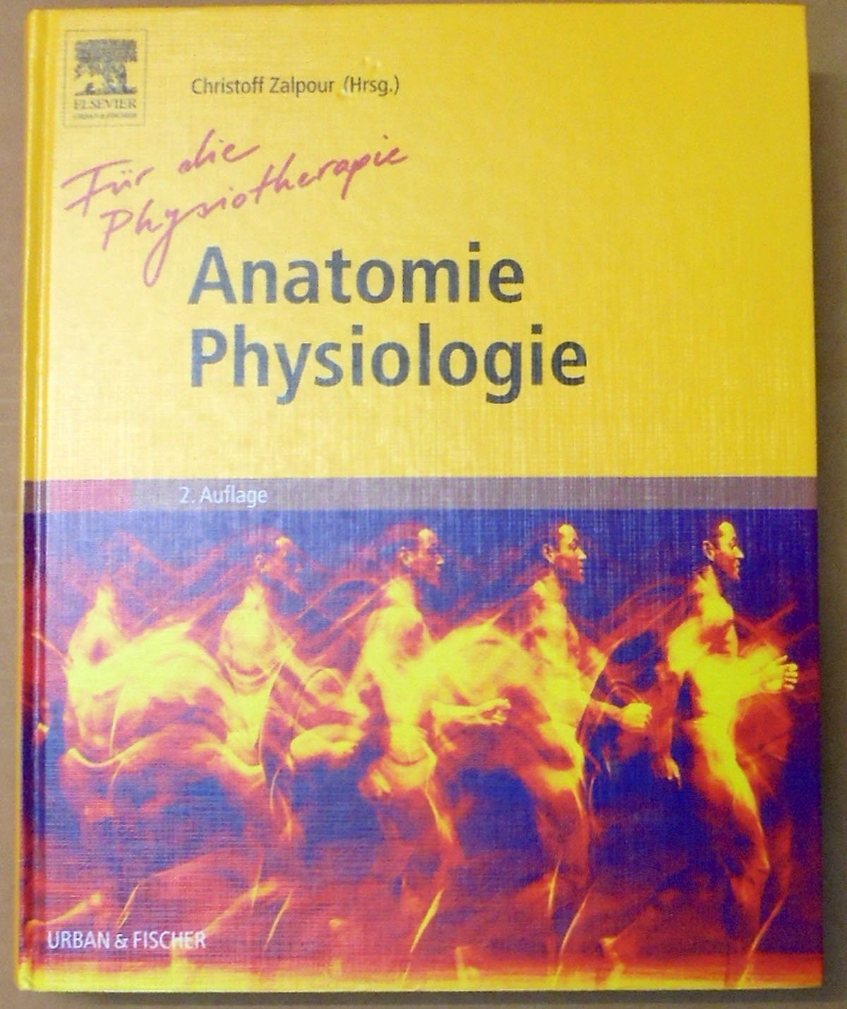 Anatomie Physiologie für die Physiotherapie: Lehrbuch für Physiotherapeuten, Masseure/medizinische Bademeister und Sportwissenschaftler Medicine