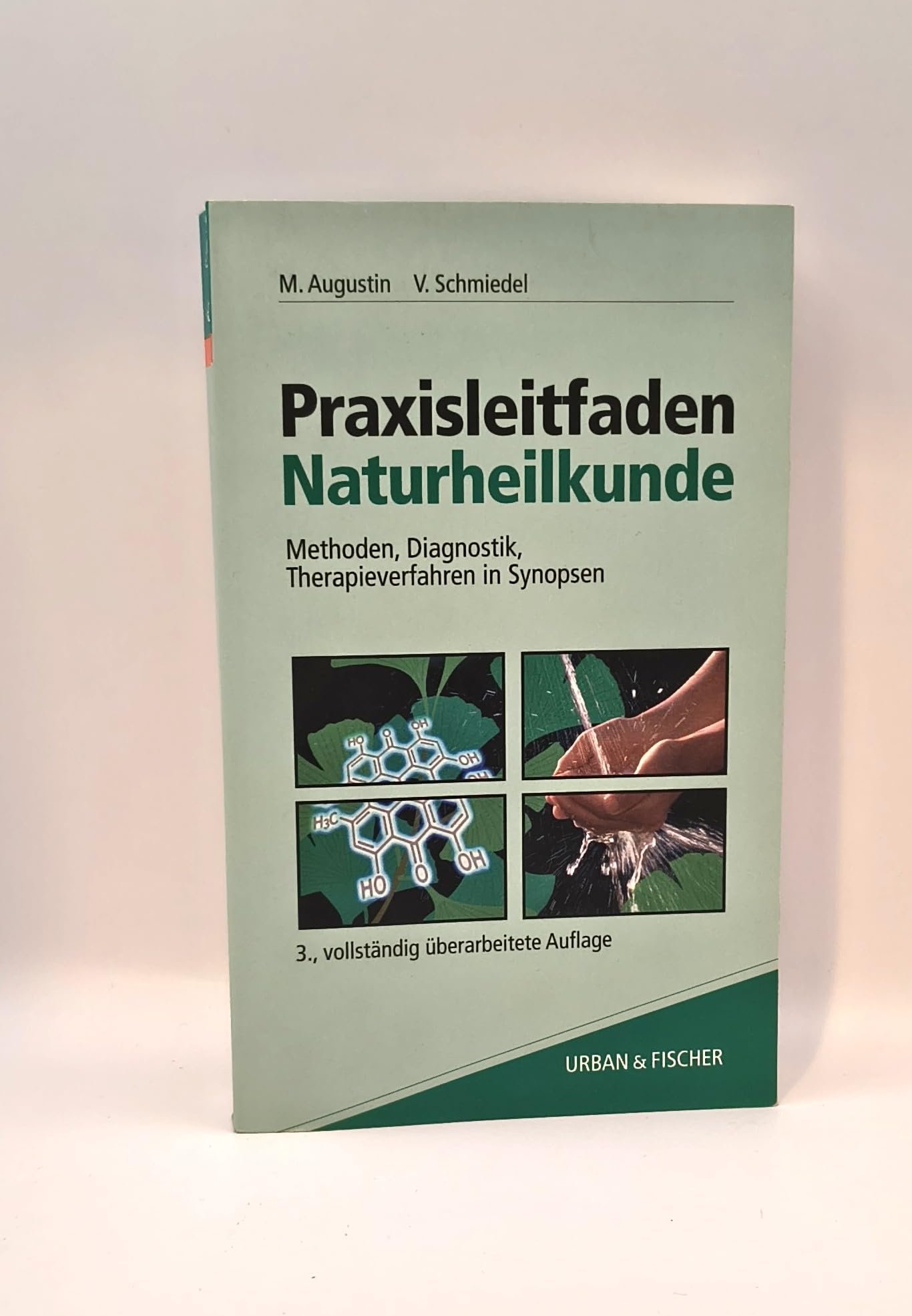Praxisleitfaden Naturheilkunde. Methoden, Diagnostik, Therapieverfahren in Synopsen Books
