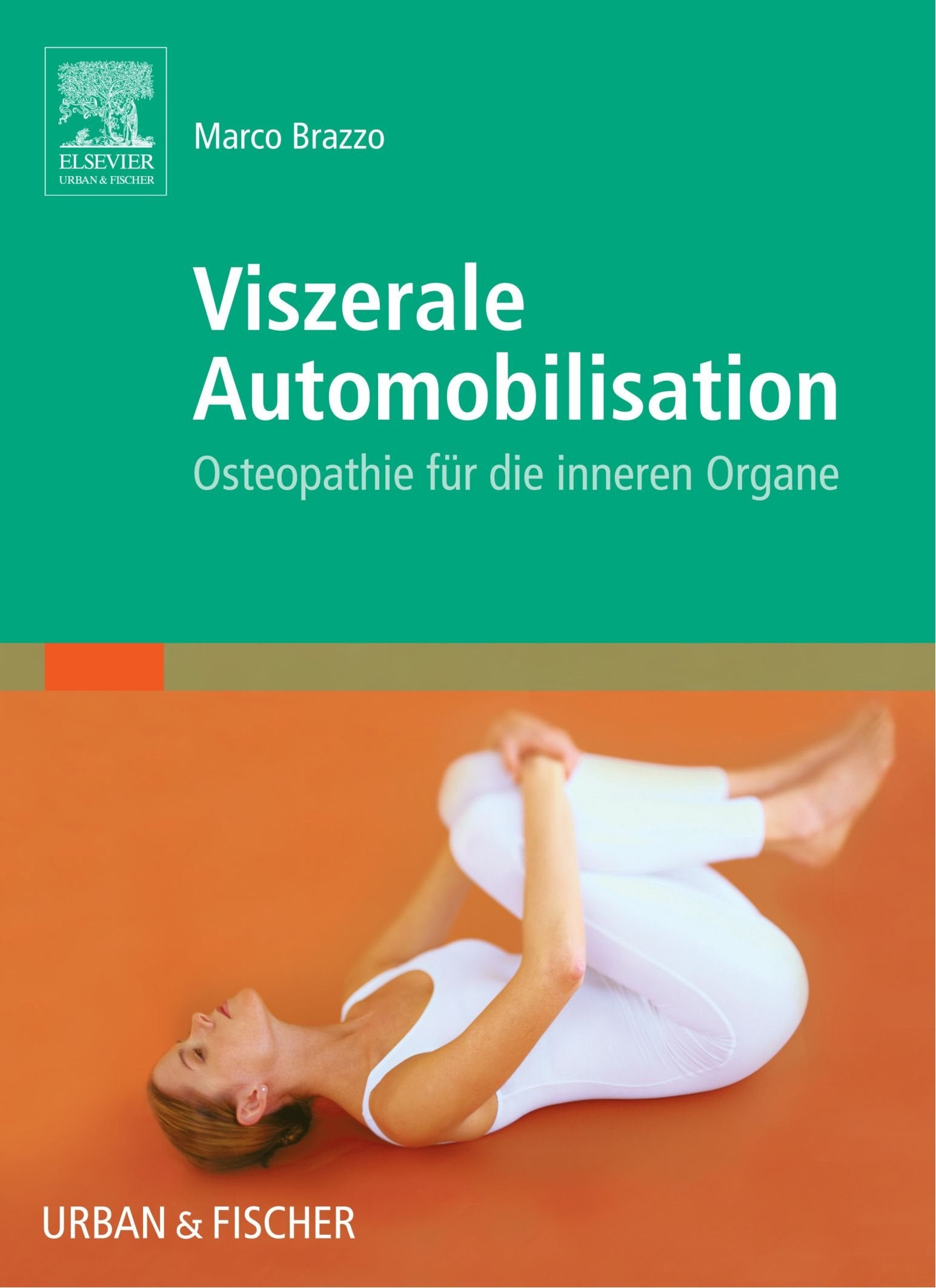 Viszerale Automobilisation: Osteopathie für die inneren Organe Medicine