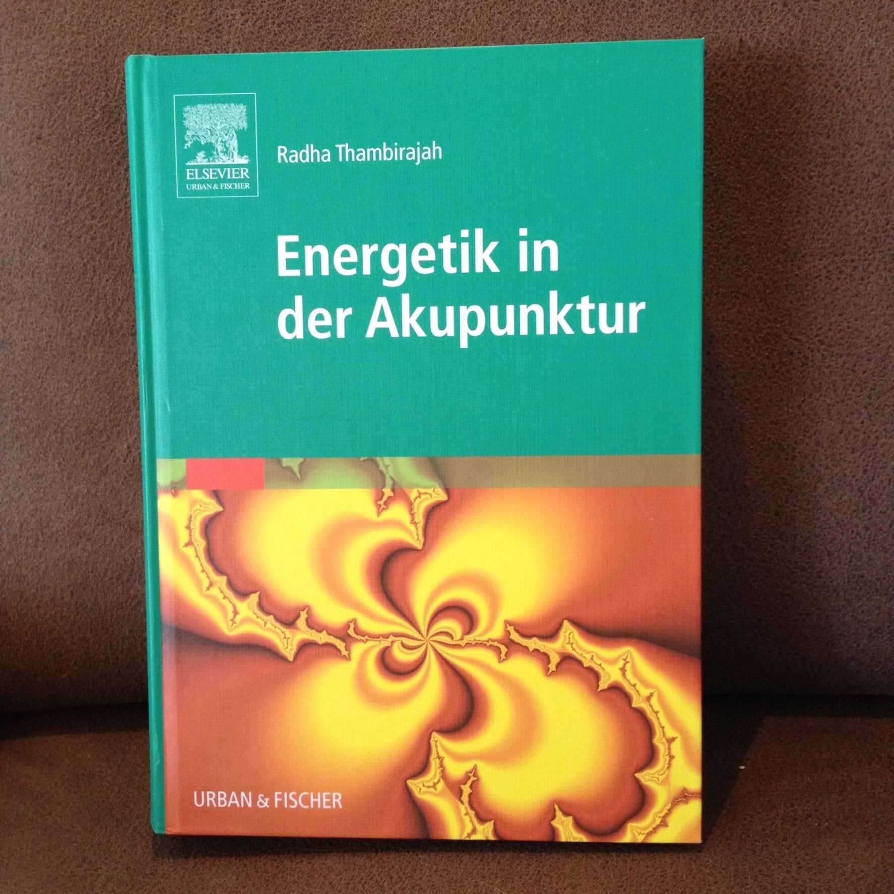 Energetik in der Akupunktur: mit Zugang zum Elsevier-Portal: Mit dem Plus im Web. Zugangscode im Buch Medicine