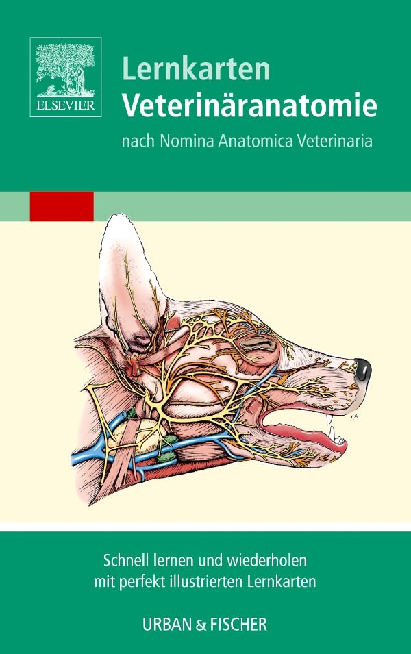 Lernkarten Veterinäranatomie/Veterinary Anatomy Flash Cards: Nach Nomina Anatomica Veterinaria. Schnell lernen und wiederholen mit perfekt illustrierten Lernkarten Medicine