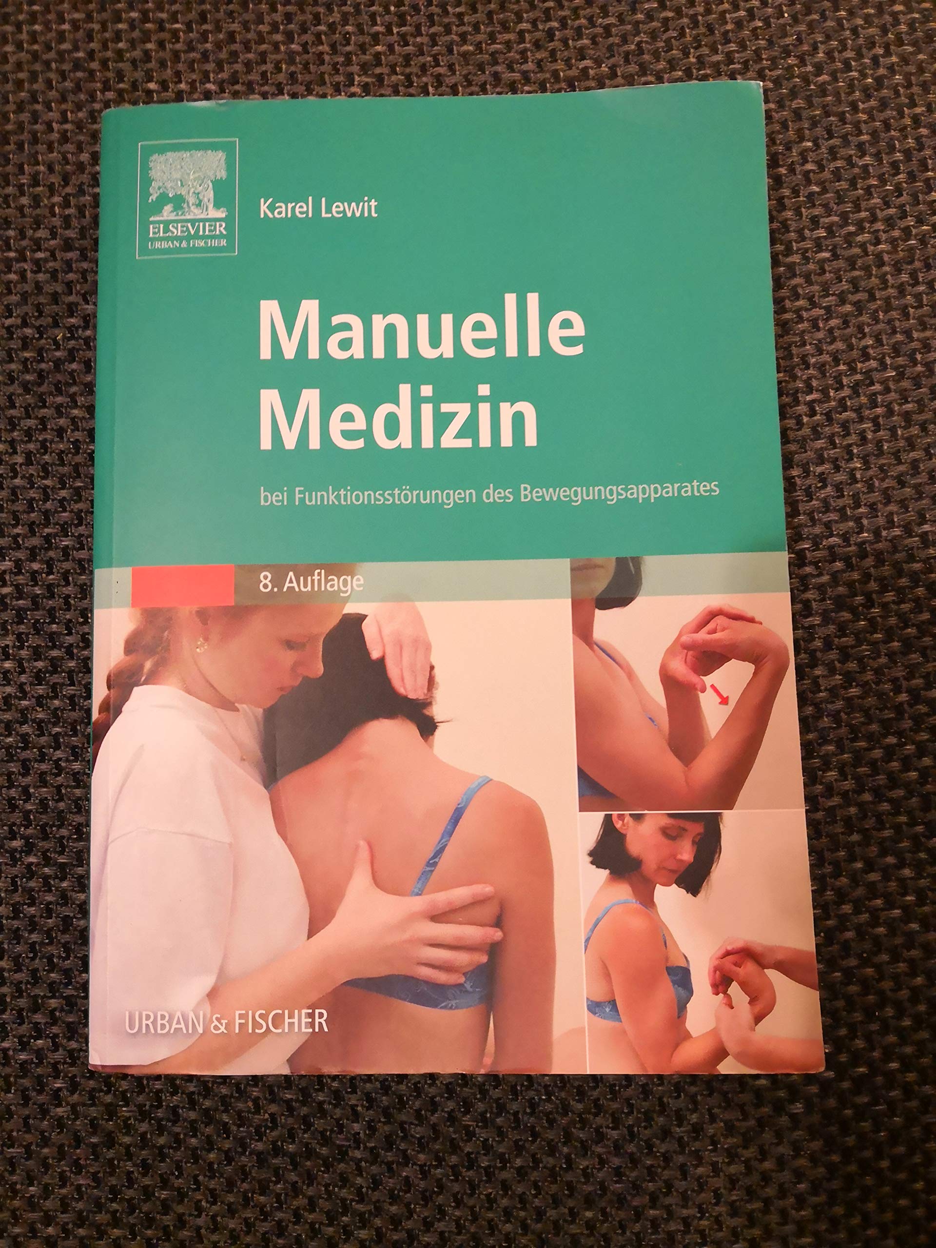 Manuelle Medizin bei Funktionsstörungen des Bewegungsapparates Books