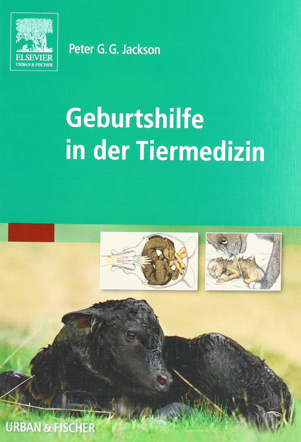 Geburtshilfe in der Tiermedizin Medicine