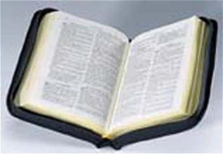 Bibelausgaben, Senfkornbibel, schwarz, mit Reißverschluß (Nr.1039): Rev. Lutherübers. v. 1984 (Senfkornbibel. Die Bibel nach der Übersetzung Martin Luthers, ohne Apokryphen. Kleine Taschenausgabe) Religion & Esotericism