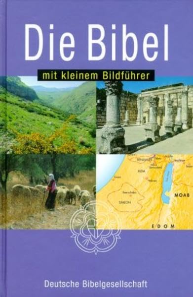 Bibelausgaben, Die Bibel mit kleinem Bildführer, neue Rechtschreibung: nach der Übersetzung Martin Luthers, ohne Apokryphen, mit kleinem Bildführer Books