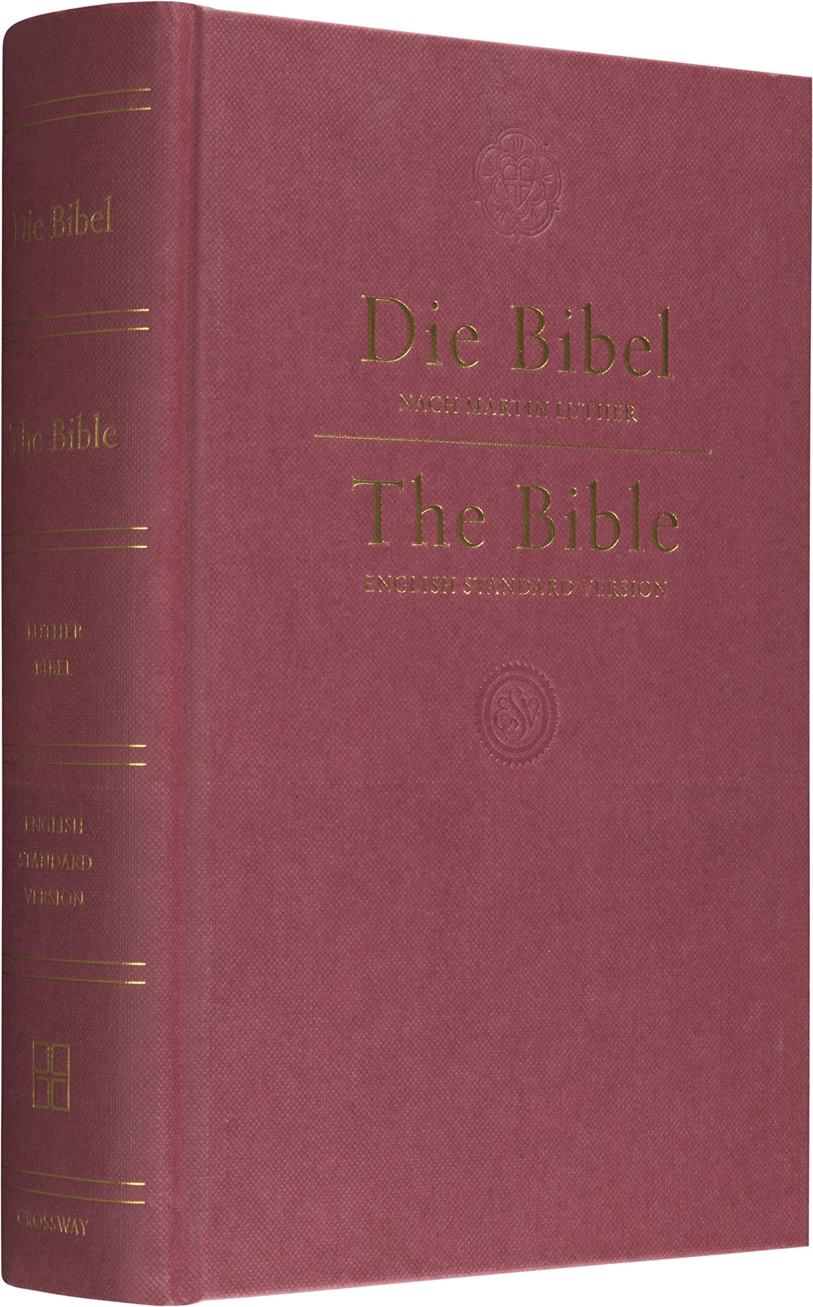 Die Bibel - The Holy Bible Religion & Esotericism