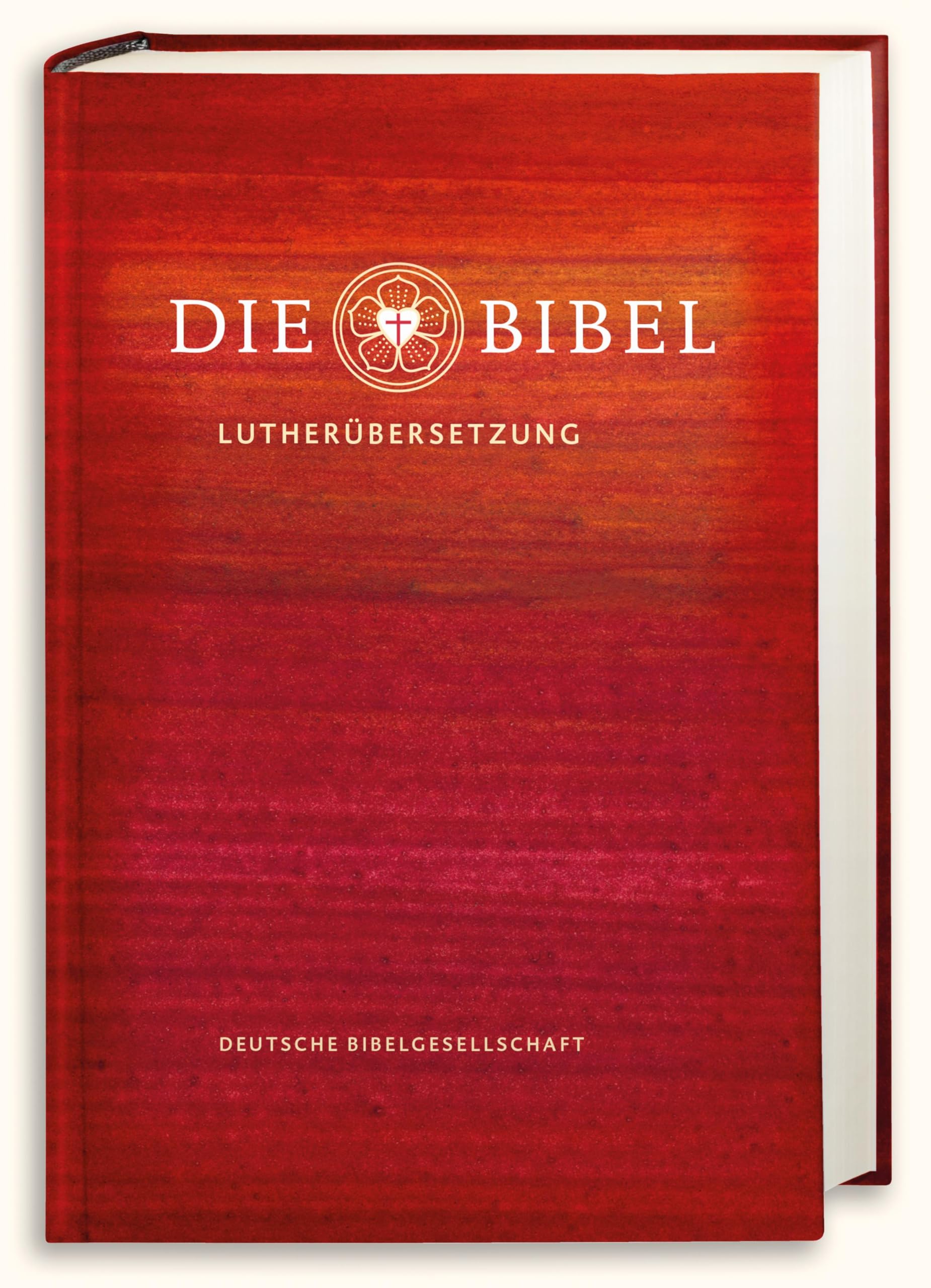 Lutherbibel revidiert 2017 - Die Schulbibel Religion & Esotericism