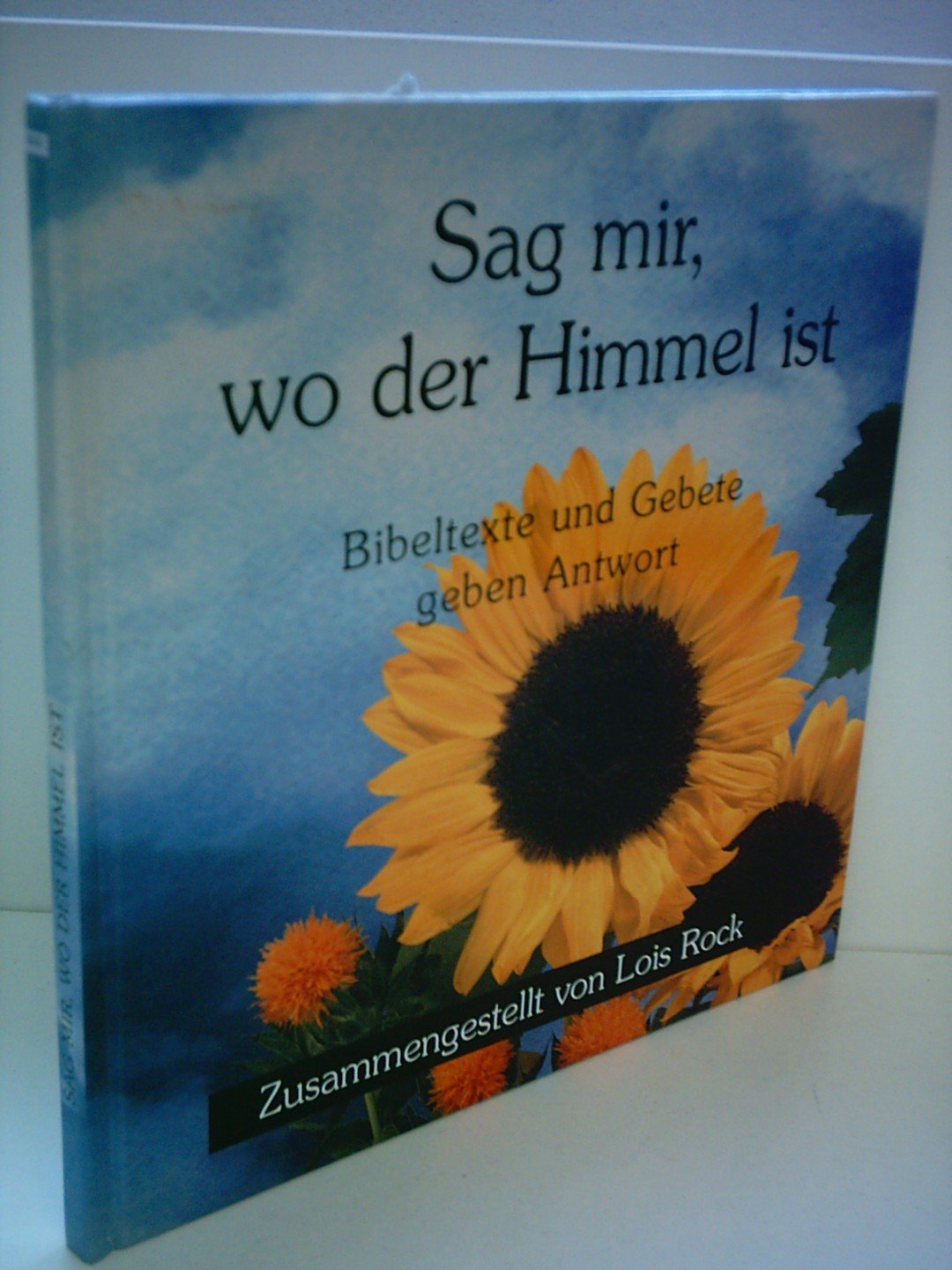 Sag mir, wo der Himmel ist: Bibeltexte und Gebete geben Antwort Children's books