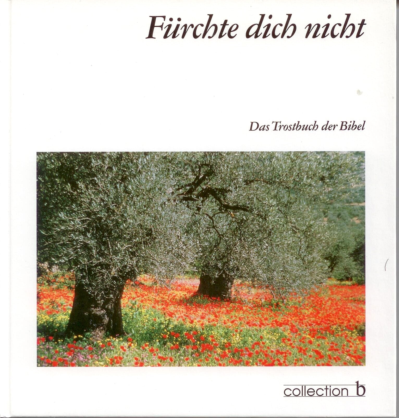 Fürchte dich nicht Books