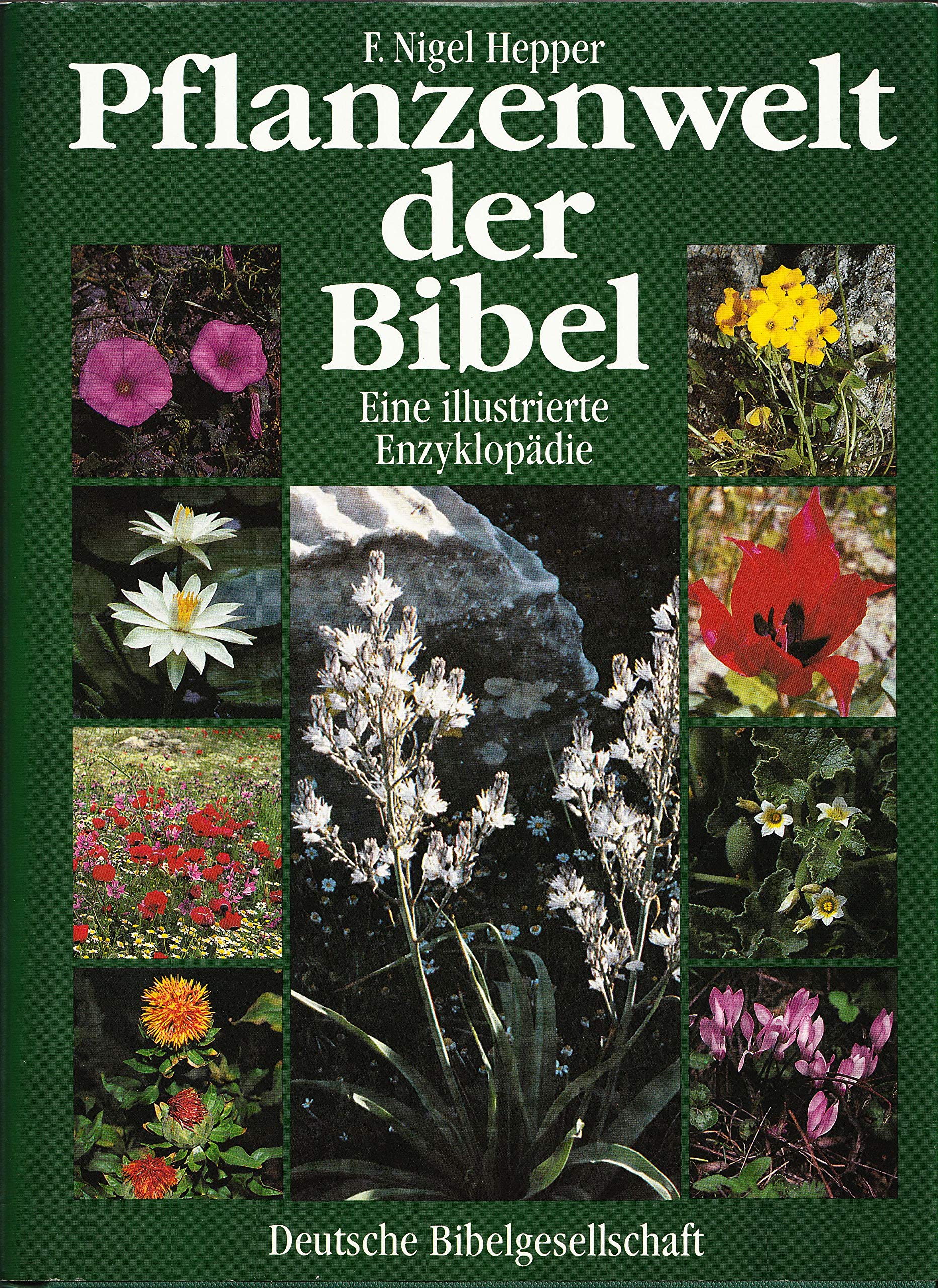 Pflanzenwelt der Bibel: Illustrierte Enzyklopädie Leisure, Home & Garden