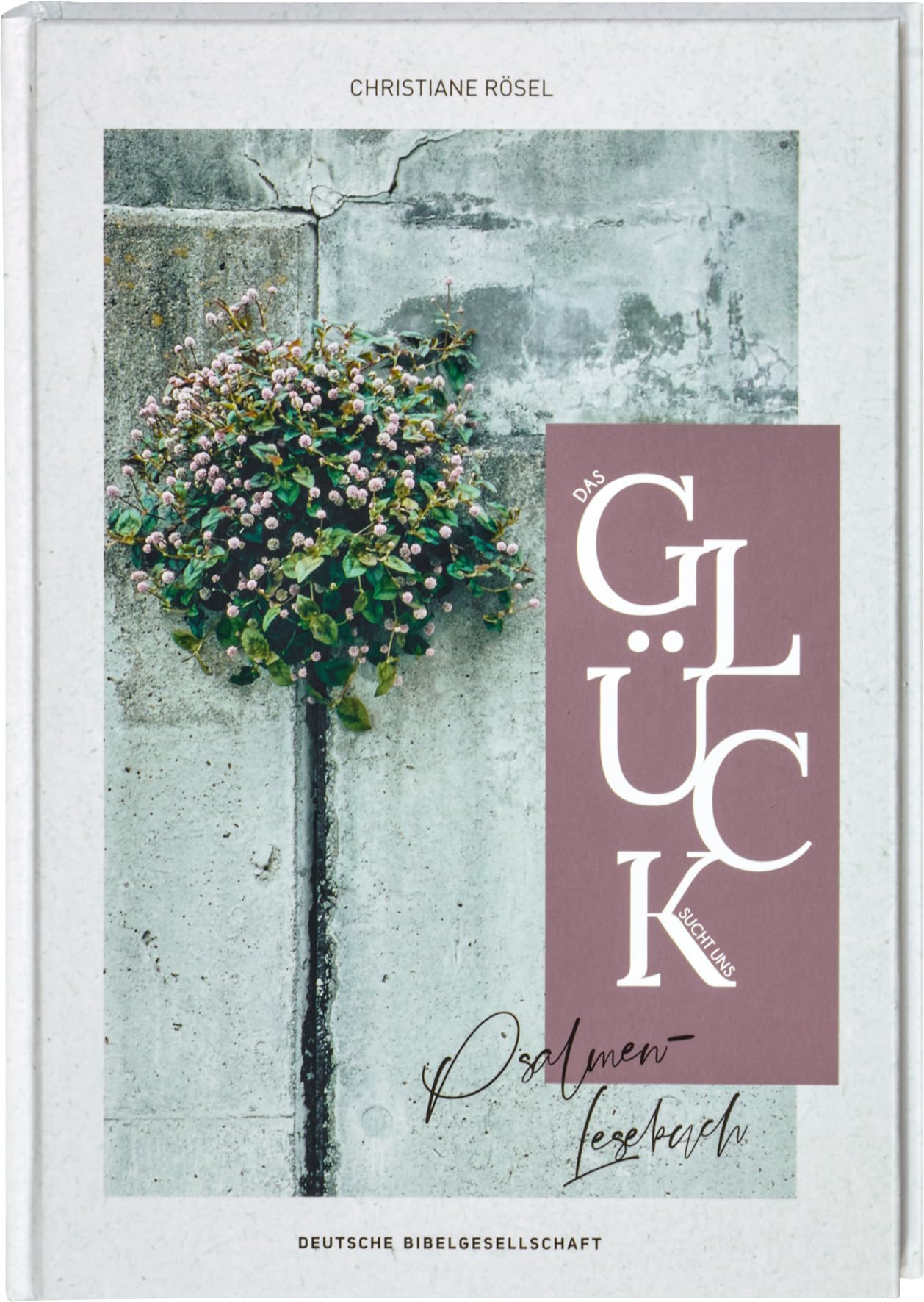 Das Glück sucht uns. Psalmen-Lesebuch. Mit christlicher Spiritualität Kraft finden: Psalmen und biblische Texte neu entdecken. Bibelverse zum Nachdenken Religion & Esotericism