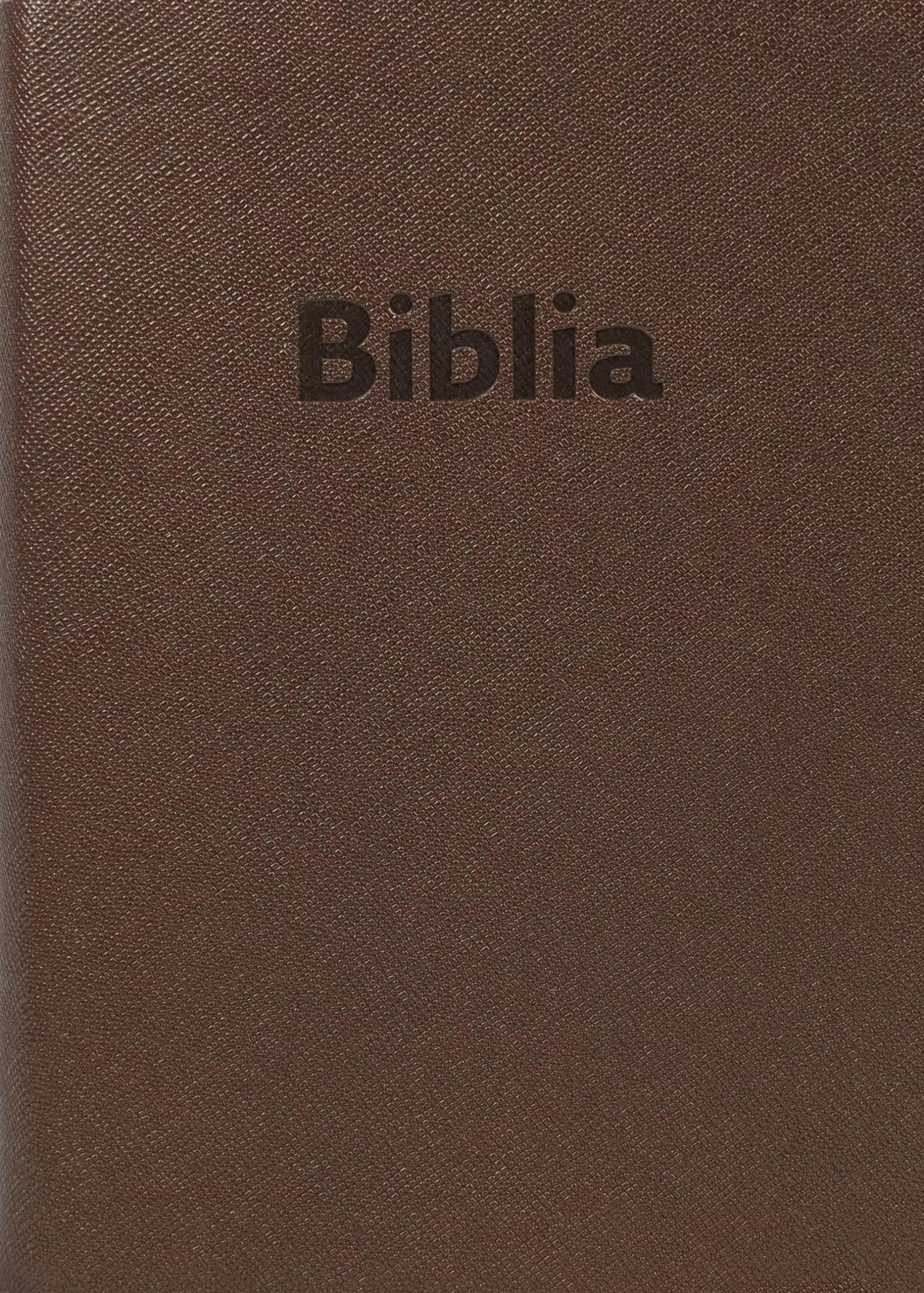 Slowakisch: Bibel, ökumenische Übersetzung moderne Übers. Religion & Esotericism