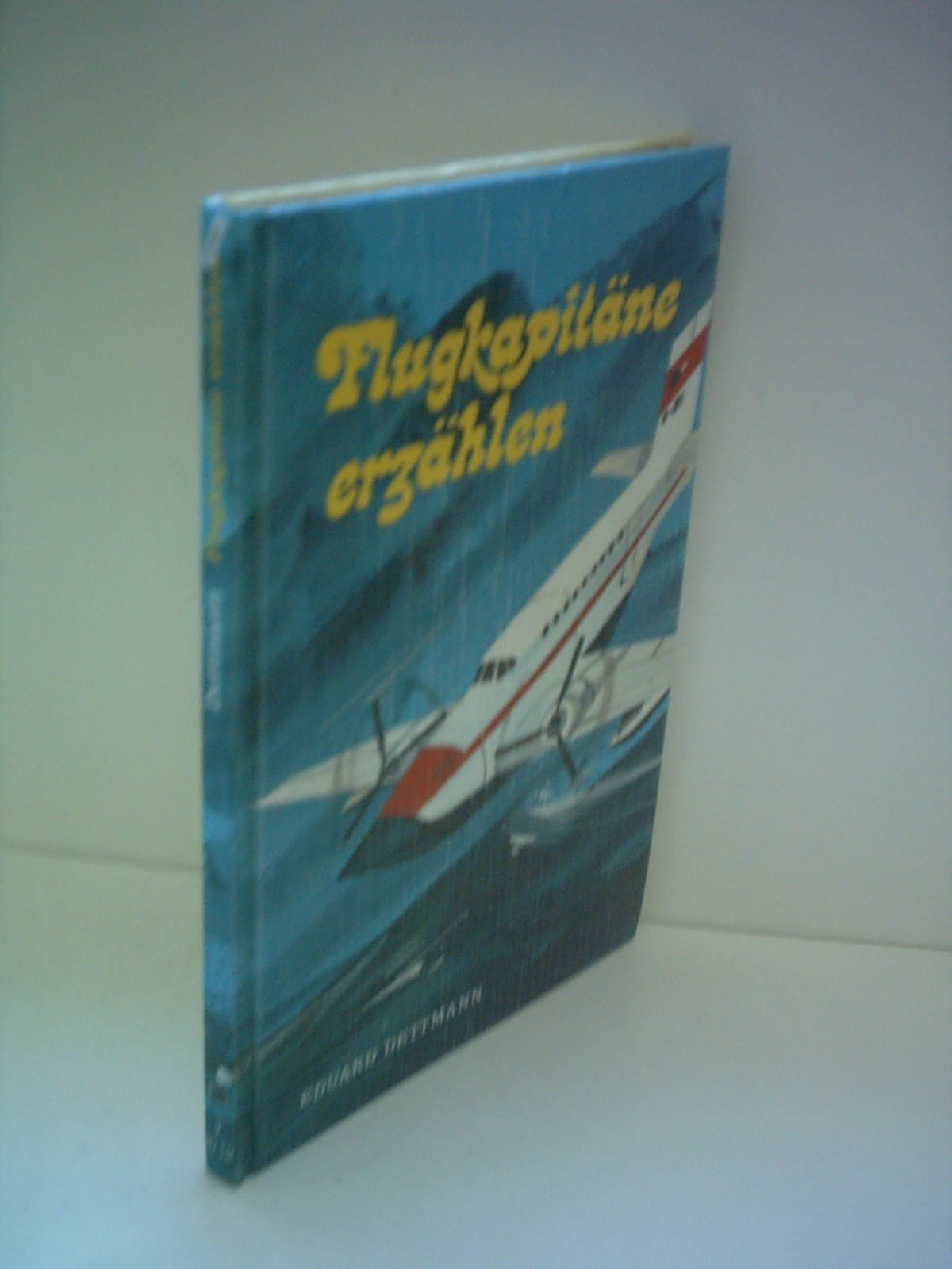 flugkapitäne erzählen. Books