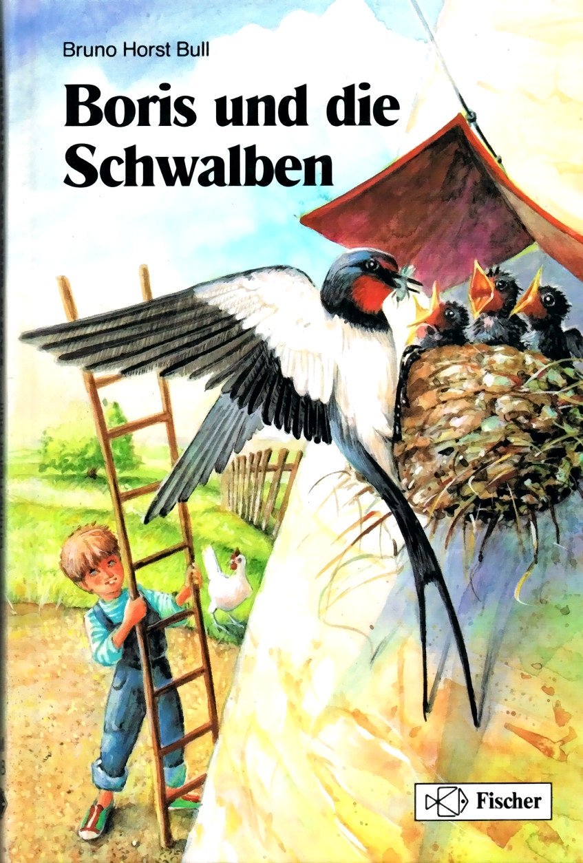Boris und die Schwalben. Ab 8 Jahre Books