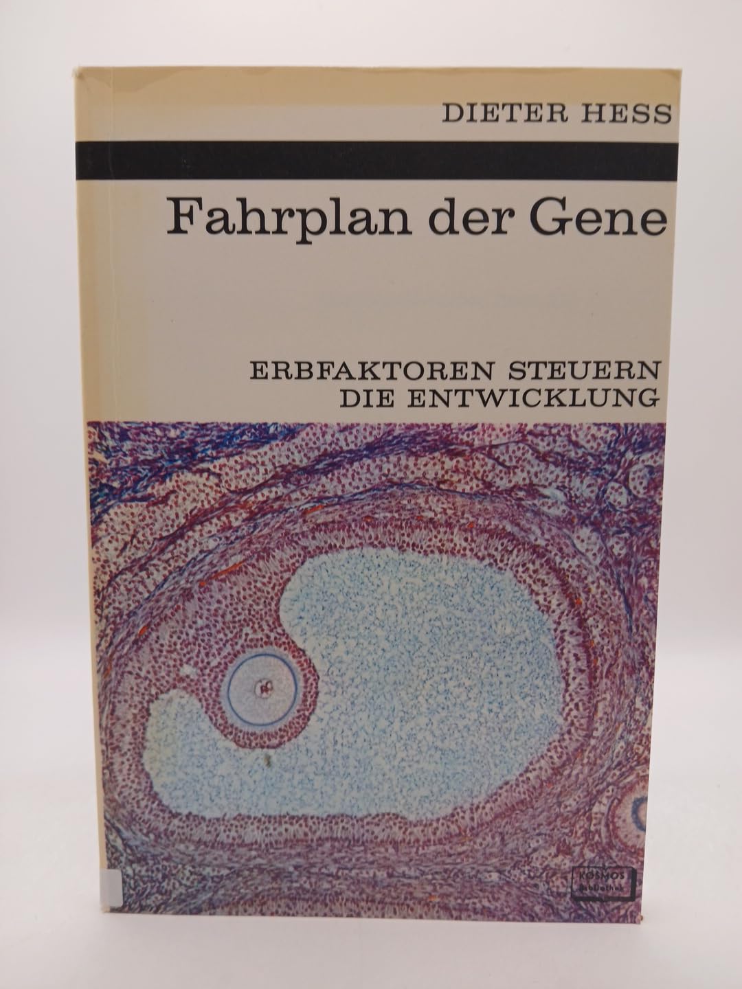 Fahrplan der Gene. Erbfaktoren steuern die Entwicklung Business & Technology