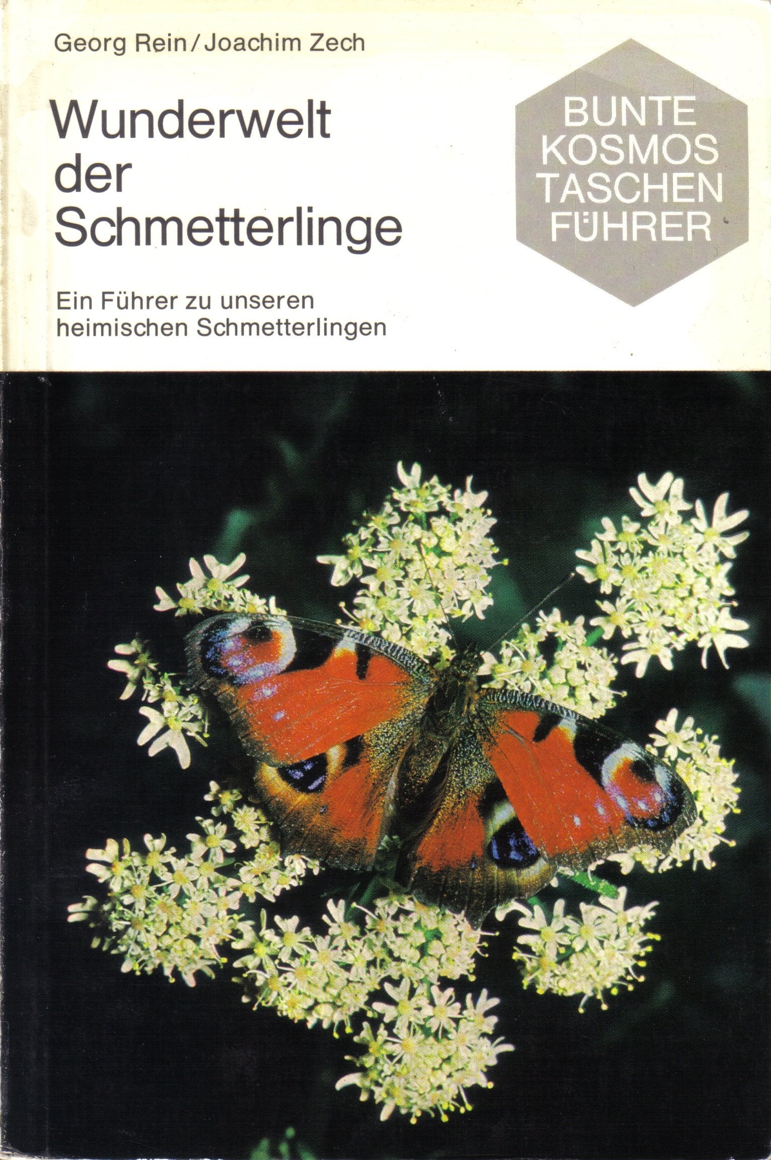 Wunderwelt der Schmetterlinge. Ein Führer zu unseren heimischen Schmetterlingen Business & Technology