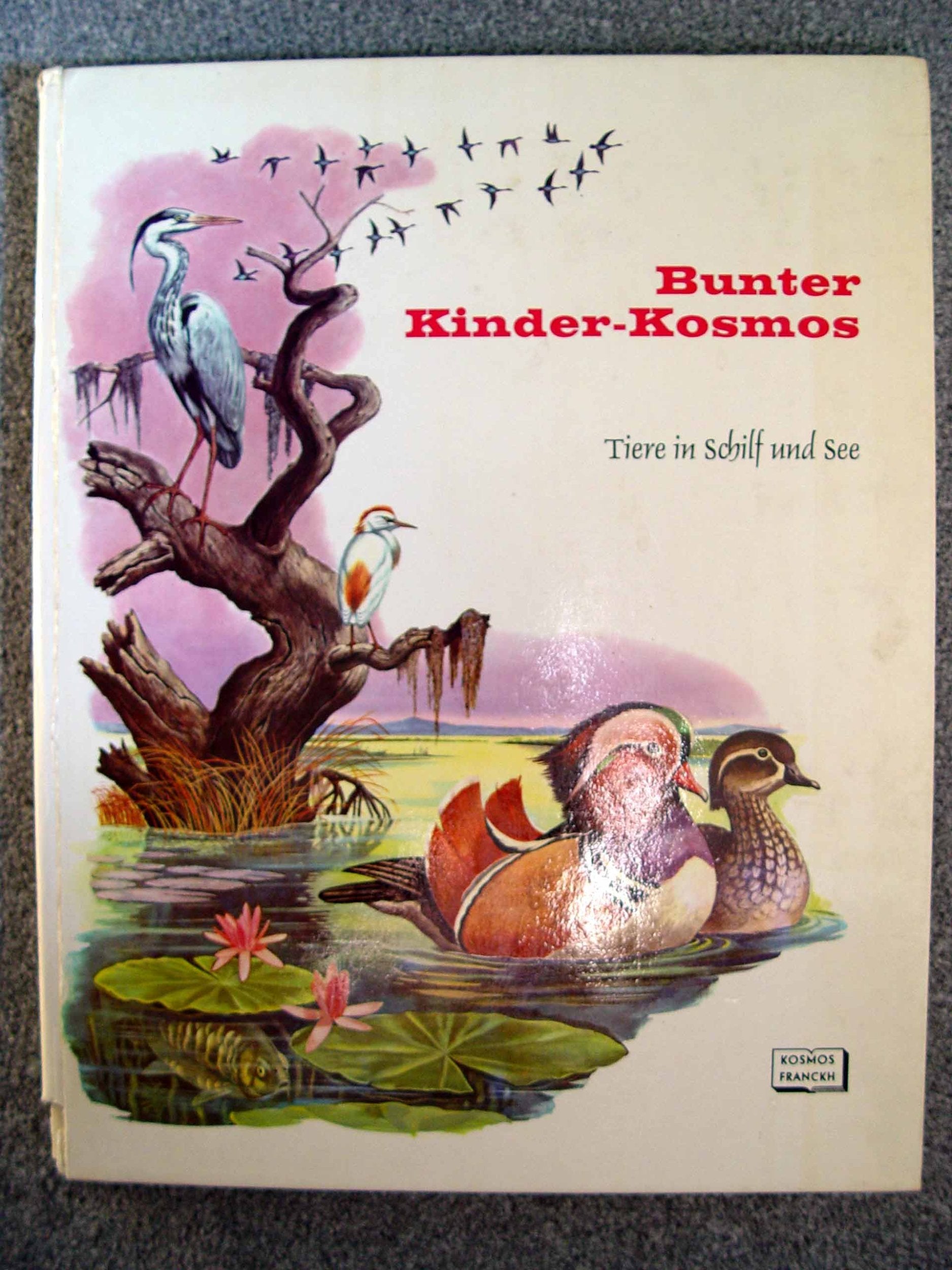 Bunter Kinder-Kosmos Tiere in Schilf und See Books