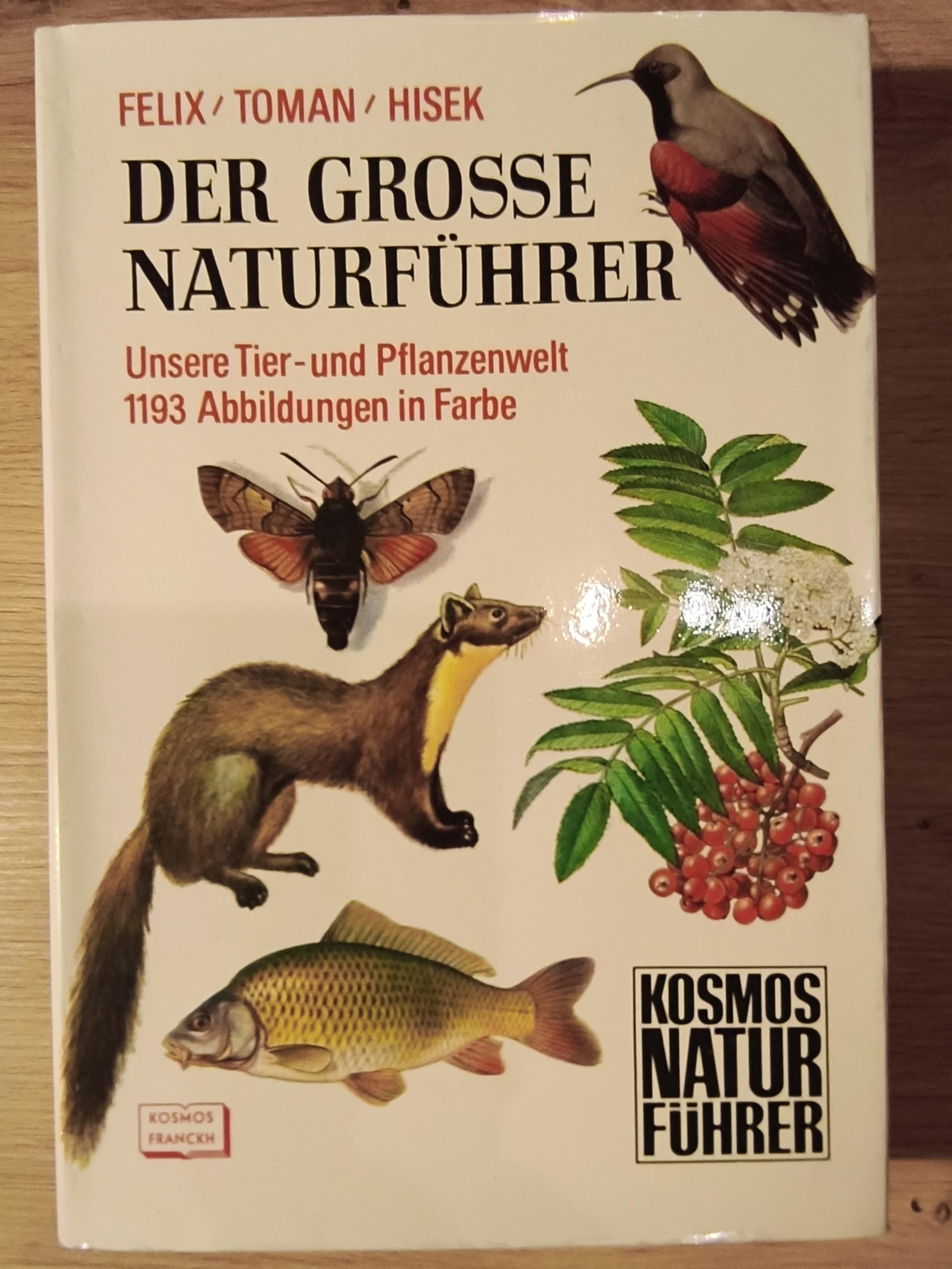 Der Große Naturführer Books