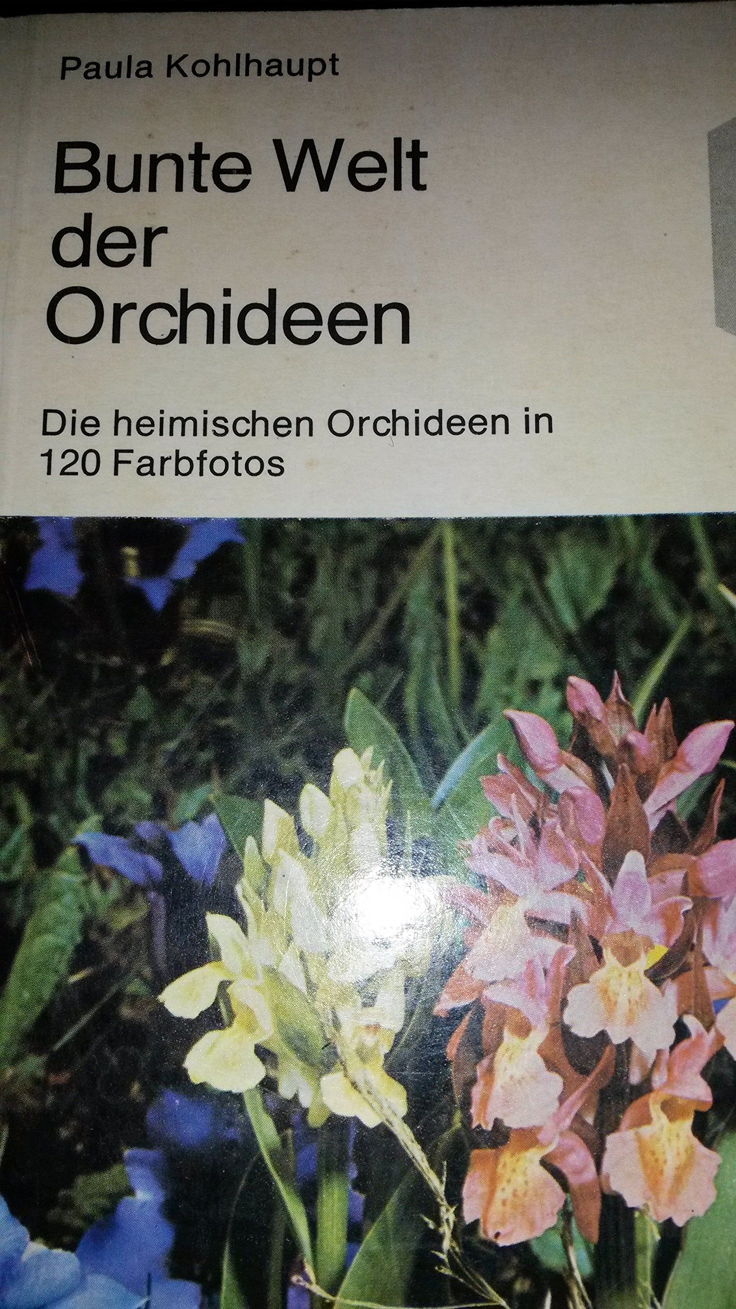 Bunte Welt der Orchideen. Die heimischen Orchideen in 120 Farbfotos Business & Technology