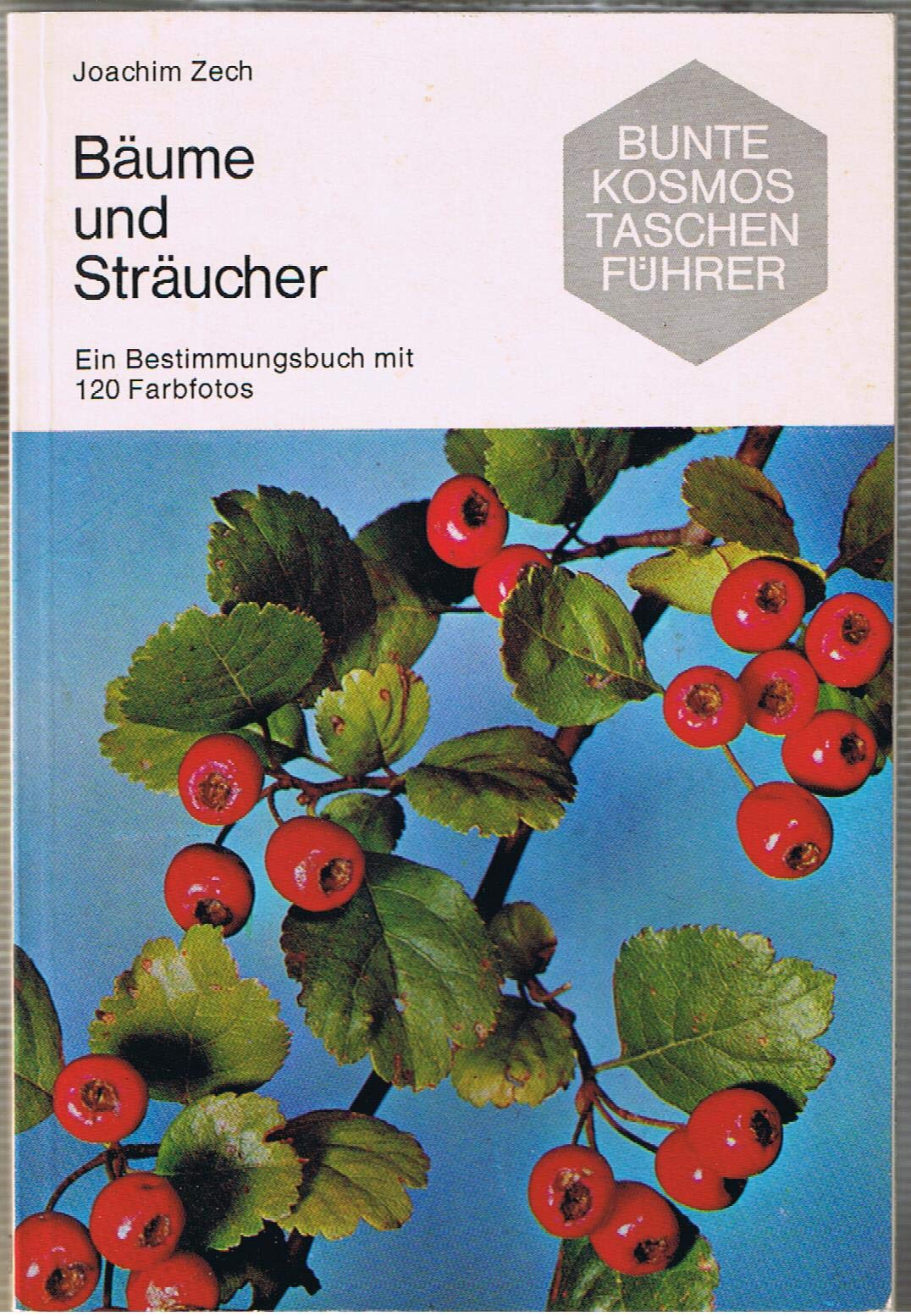 Bäume und Sträucher. Ein Bestimmungsbuch Business & Technology