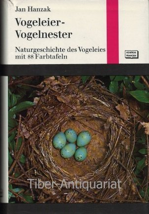 Vogeleier, Vogelnester. Naturgeschichte des Vogeleies Business & Technology