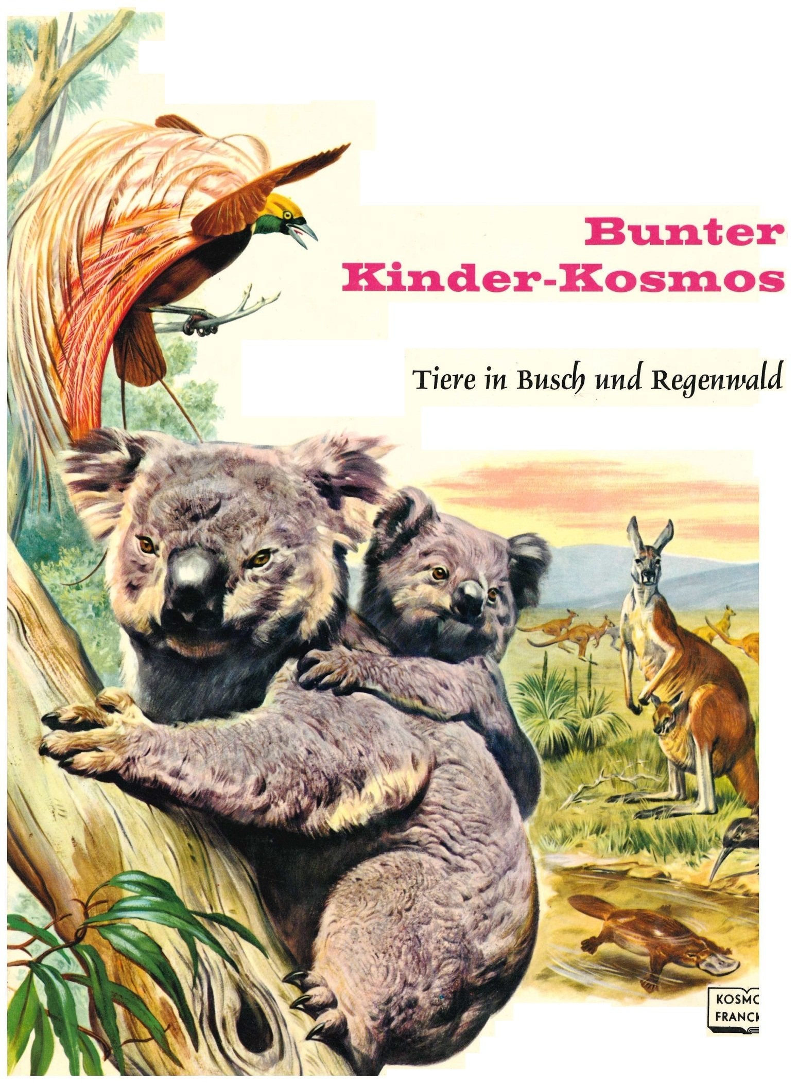 Tiere in Busch und Regenwald (Bunter Kinder-Kosmos Teil 15) Children's books