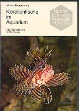 Korallenfische im Aquarium Natural Sciences